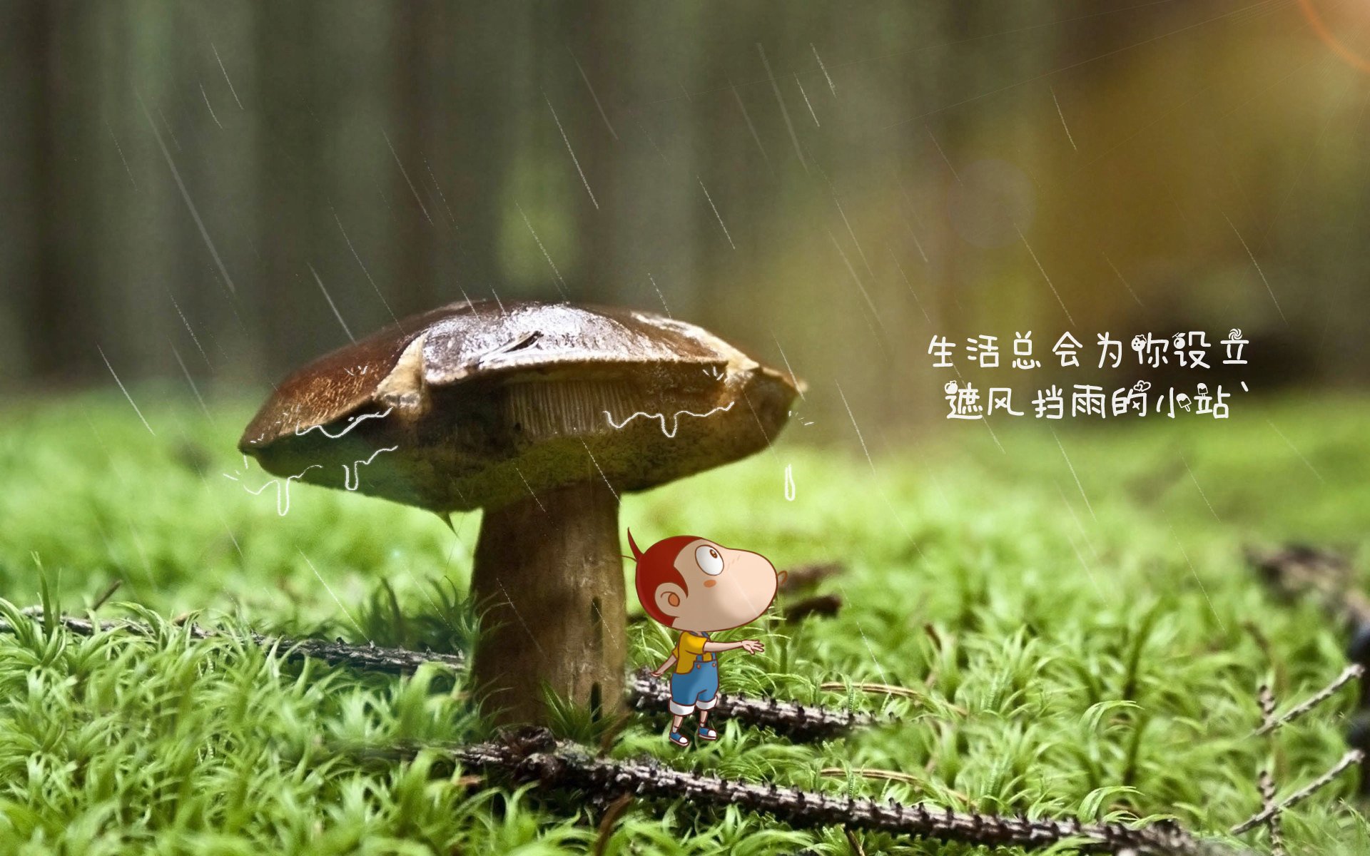 乌帕梅卡诺被评为法甲最佳后卫，乌帕梅卡诺被评为法甲最佳后卫的球员