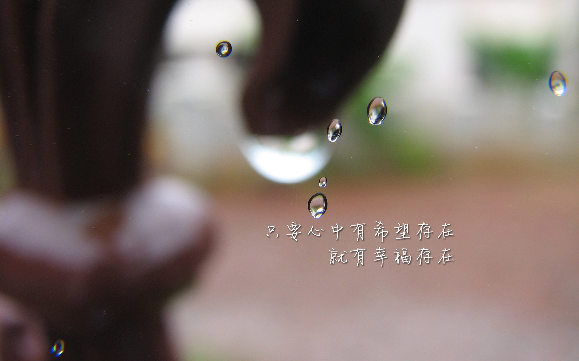 开云官方网站-法比奥·范登博斯在男子全能赛中获得铜牌