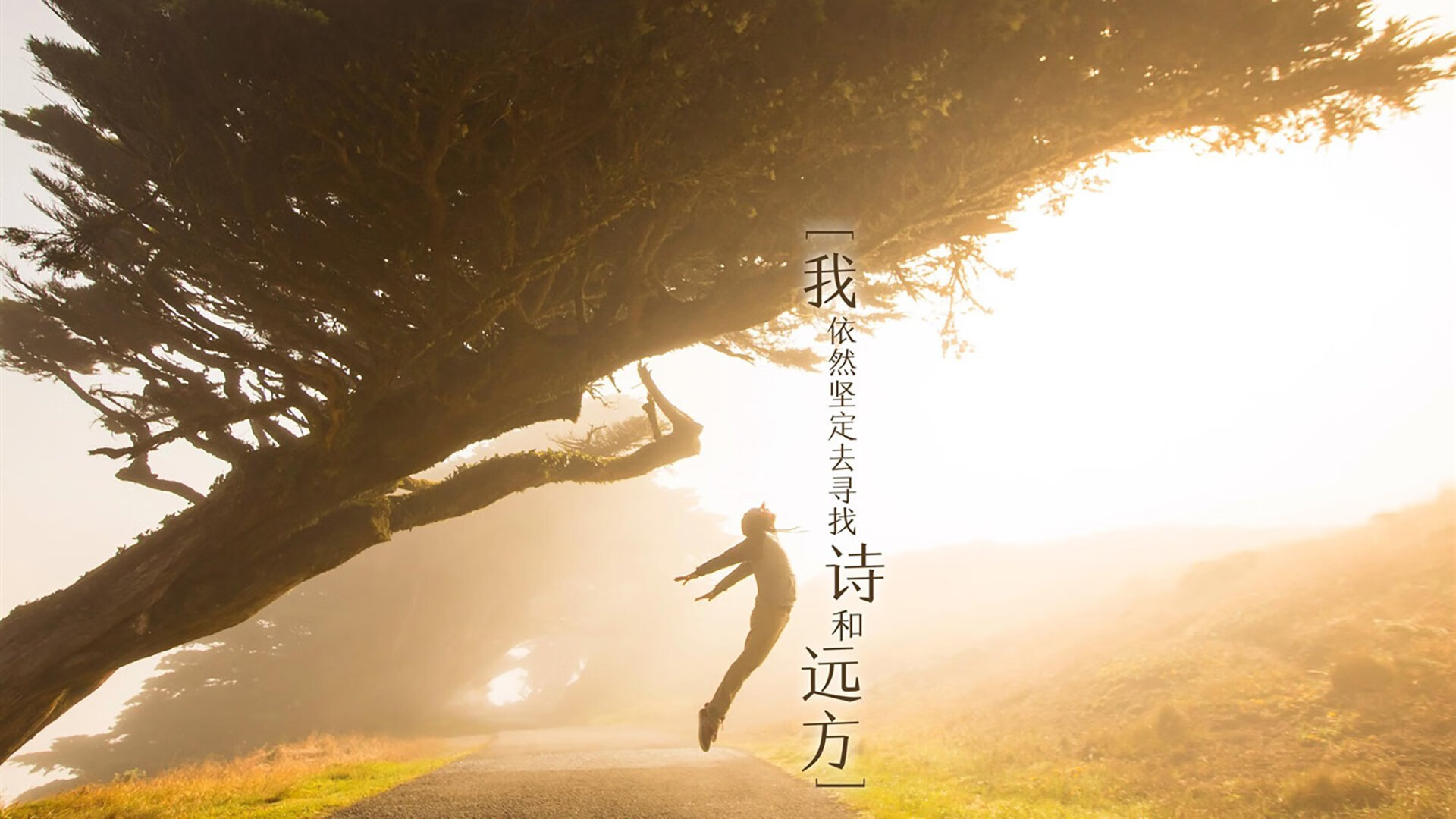 “东安湖体育公园龙舟赛：竞速的激情与团结的力量”