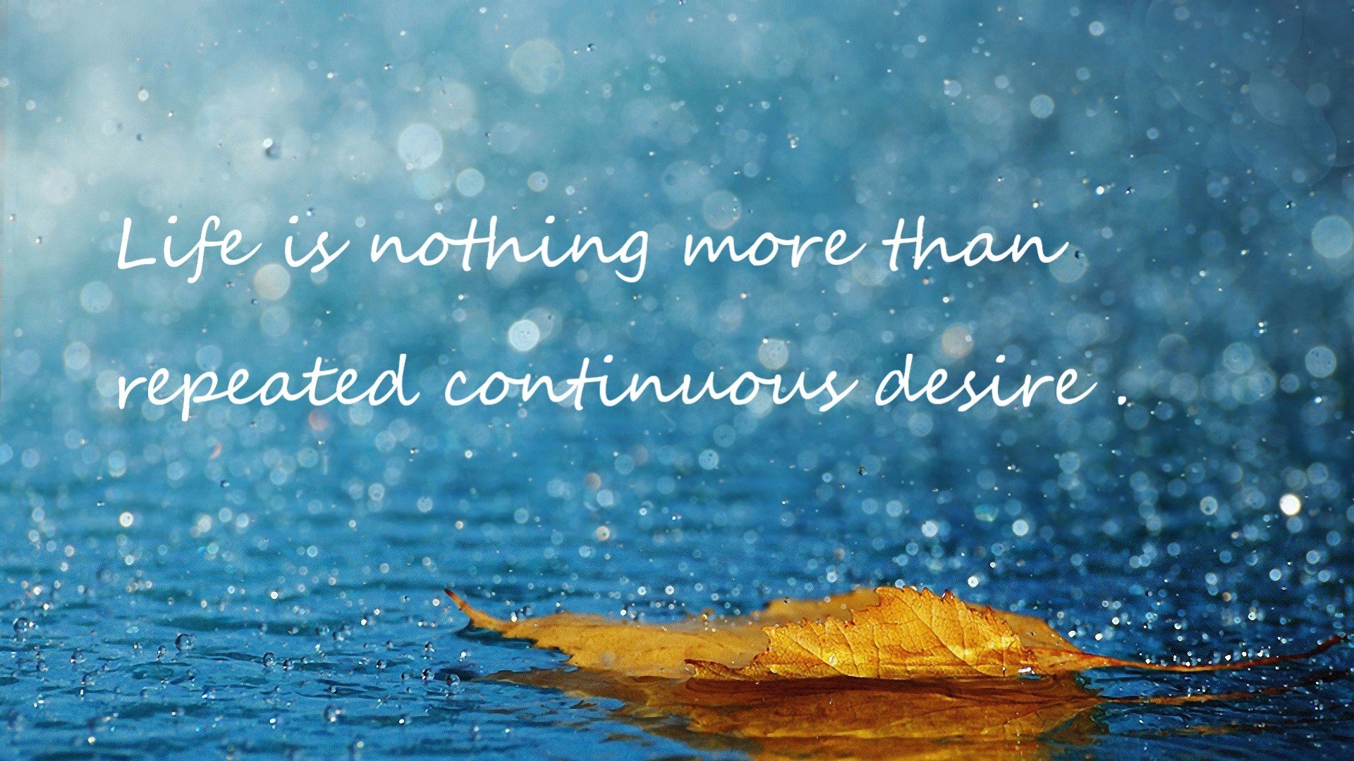 Kaiyun APP-女篮世界杯备战进入冲刺阶段全队状态逐步回暖，女篮球世界杯