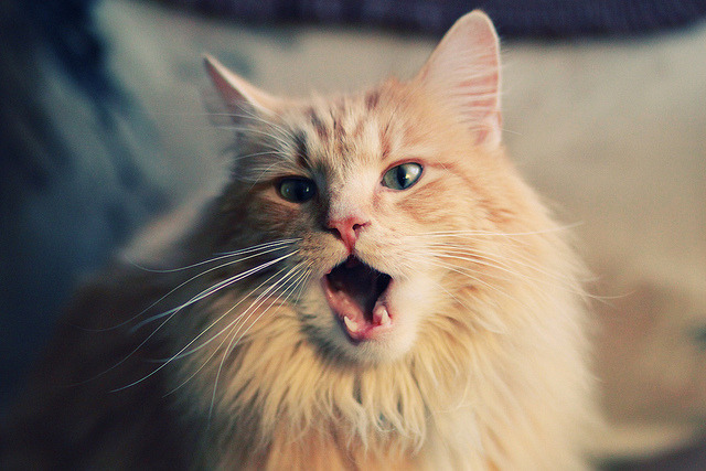 开云中国大陆-欧洲杯战术升级：变阵、突破、奇迹！，欧洲杯规则改变