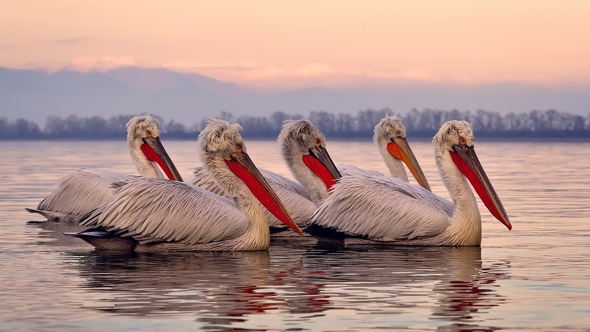 KAIYUNAPP-西甲超级破门：惊艳全场的精彩瞬间！，西甲西超杯