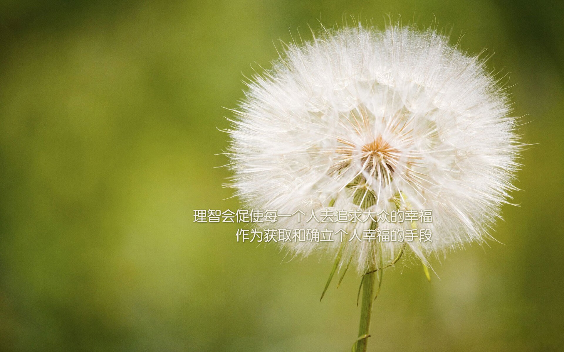 开云官网APP下载-赛前动员强调必须保持饥饿感面对强敌不能有丝毫松懈，赛前动员大会发讲话